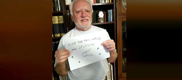 Hide The Pain Harold for Sputnik Hide The Pain Harold for Sputnik - Sputnik International