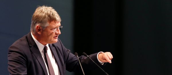 Co-leader of Alternative for Germany (AfD) Joerg Meuthen speaks during the two-day party congress in Augsburg, Germany, June 30, 2018 - Sputnik International
