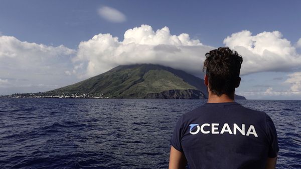 Spectacular Undersea Life of Lipari Island - Sputnik International