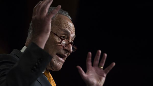 Fraktionschef der US-Demokraten im Kongress Chuck Schumer bei Pressekonferenz zum Gipfeltreffen von Donald Trump und Wladimir Putin - Sputnik International