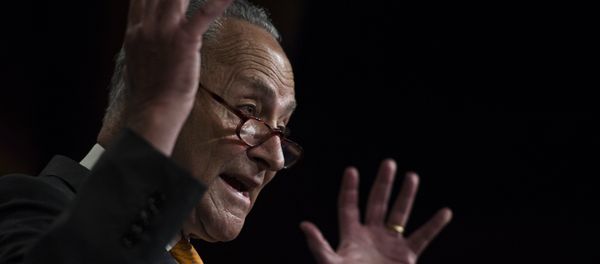 Fraktionschef der US-Demokraten im Kongress Chuck Schumer bei Pressekonferenz zum Gipfeltreffen von Donald Trump und Wladimir Putin Fraktionschef der US-Demokraten im Kongress Chuck Schumer bei Pressekonferenz zum Gipfeltreffen von Donald Trump und Wladimir Putin - Sputnik International