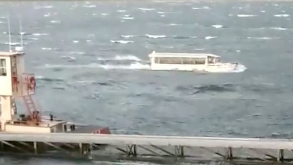 A duck boat is seen at Table Rock Lake in Branson, Missouri, U.S., July 19, 2018 in this picture grab obtained from social media video - Sputnik International