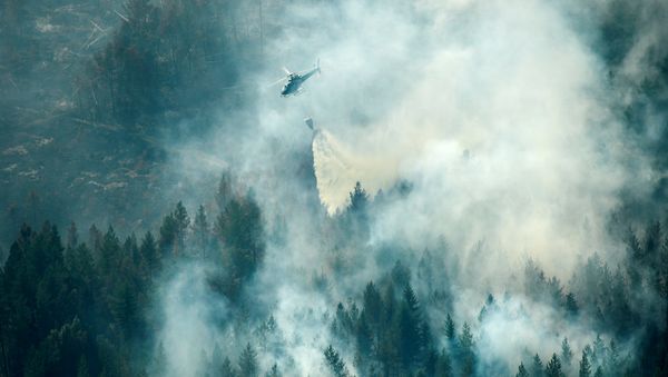 An aerial view of the wildfire outside Ljusdal, Sweden, July 18, 2018 - Sputnik International
