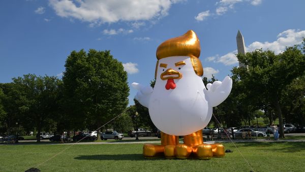 An inflatable chicken mimicking US President Donald Trump is set up on The Ellipse, a 52-acre (21-hectare) park located just south of the White House and north of the Washington Monument (rear) - Sputnik International