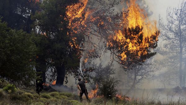 (File) A volunteer tries to extinguish a burning tree during a forest fire near Kapandriti north of Athens, Tuesday, Aug. 15, 2017 (File) A volunteer tries to extinguish a burning tree during a forest fire near Kapandriti north of Athens, Tuesday, Aug. 15, 2017 - Sputnik International