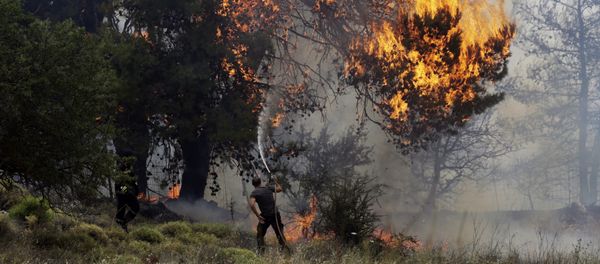 (File) A volunteer tries to extinguish a burning tree during a forest fire near Kapandriti north of Athens, Tuesday, Aug. 15, 2017 (File) A volunteer tries to extinguish a burning tree during a forest fire near Kapandriti north of Athens, Tuesday, Aug. 15, 2017 - Sputnik International