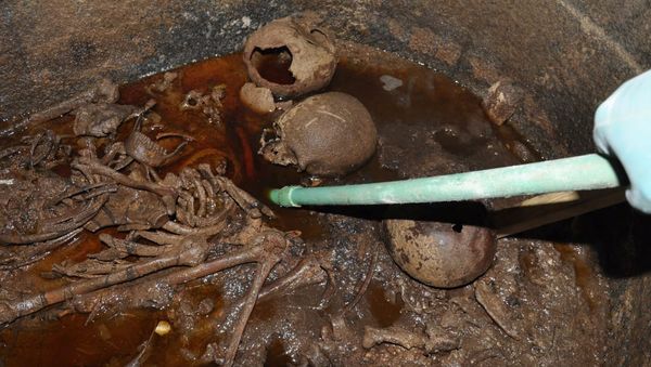 The skeletons of family mummies are seen at the site of the newly discovered giant black sarcophagus in Sidi Gaber district of Alexandria - Sputnik International