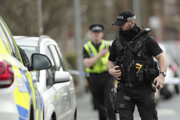 'It's Impossible to Stop Every Terror Attack', UK Scholar Says After Reading Park Stabbing 'It's Impossible to Stop Every Terror Attack', UK Scholar Says After Reading Park Stabbing - Sputnik International