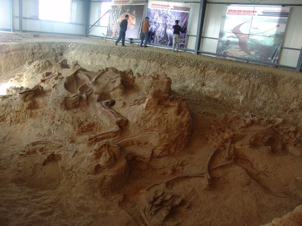 One of the four quarries producing fossils of Lingwulong, a newly discovered dinosaur unearthed in northwestern China is seen in this image provided July 24, 2018. - Sputnik International