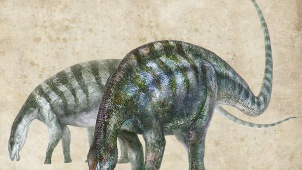 An artist's rendering of Lingwulong shenqi, a newly discovered dinosaur unearthed in northwestern China, appears in this image provided July 24, 2018. - Sputnik International