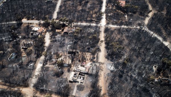 This Wednesday, July 25, 2018 aerial photo shows burnt houses and trees following a wildfire in Mati, east of Athens This Wednesday, July 25, 2018 aerial photo shows burnt houses and trees following a wildfire in Mati, east of Athens - Sputnik International