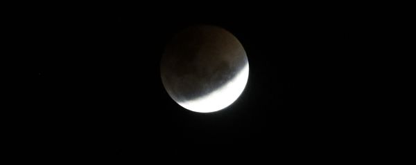 A blood moon rises over Johannesburg, South Africa - Sputnik International
