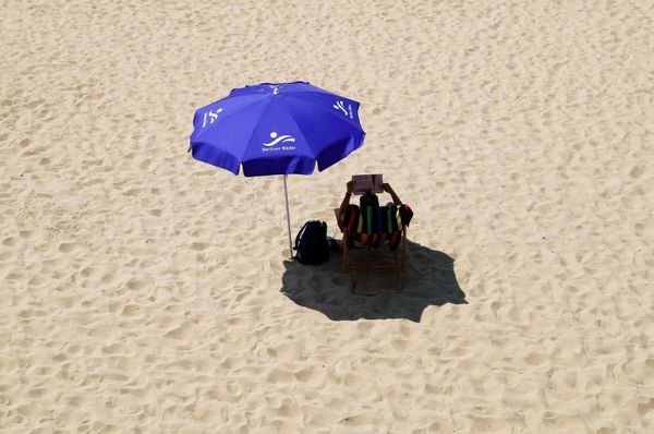 Hiding in shade on hot sunny summer day - Sputnik International