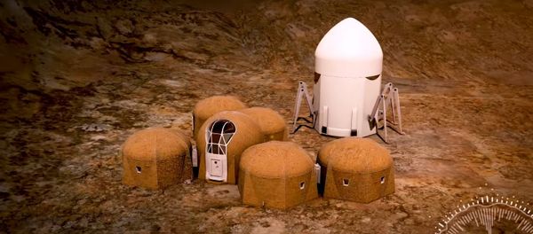 Team Zopherus - Phase 3: Level 1 of NASA’s 3D-Printed Habitat Challenge - Sputnik International