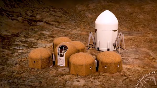 Team Zopherus - Phase 3: Level 1 of NASA’s 3D-Printed Habitat Challenge - Sputnik International