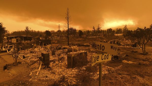 Homes leveled by the Carr Fire line the Lake Keswick Estates area of Redding, Calif., on Friday, July 27, 2018. - Sputnik International