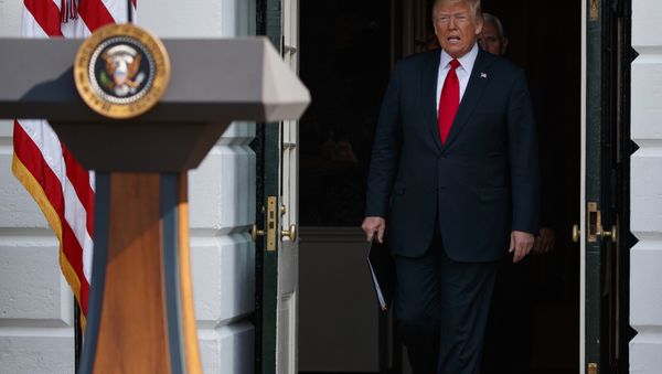 President Donald Trump arrives to deliver remarks about the economy on the South Lawn of the White House, Friday, July 27, 2018, in Washington. - Sputnik International