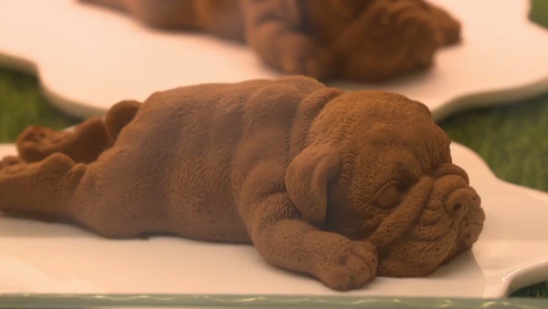Bulldog-shaped Sweets at Taiwanese Pastry. 2018 - Sputnik International