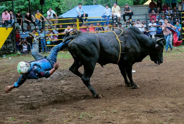 This Week in Pictures: July 28 - August 3 This Week in Pictures: July 28 - August 3 - Sputnik International