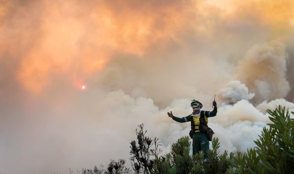 Republic of South Africa Walking with Fire: Going Beyond My Planet, series, 2nd place - Sputnik International