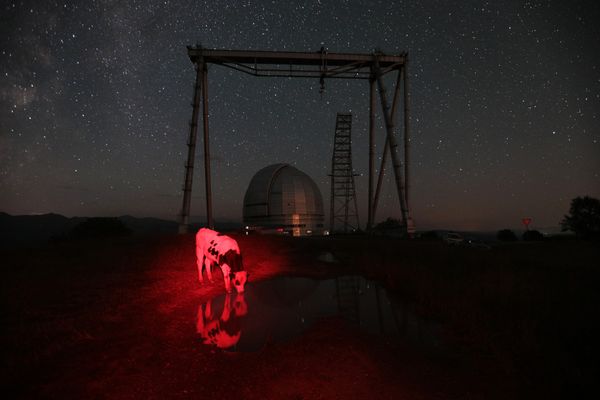 Russia Red Cow My Planet, single, 2nd place - Sputnik International