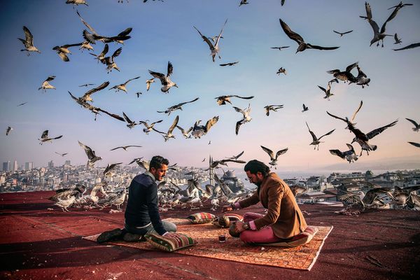 Turkey History on the Road Breakfast My Planet, single, honorable mention - Sputnik International