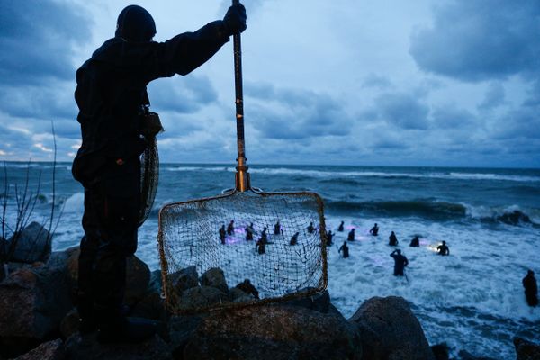 Russia Catchers  My Planet, single, honorable mention - Sputnik International