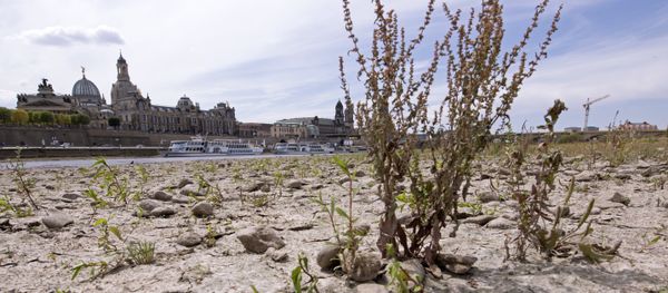 A large part of the Elbe river bed is dried out during a long time of drought in front of the skyline with the Frauenkirche cathedral (Church of Our Lady) in Dresden, Germany, Monday, July 9, 2018.The current water level of the Elbe near Dresden lies at 0,55 meters. - Sputnik International