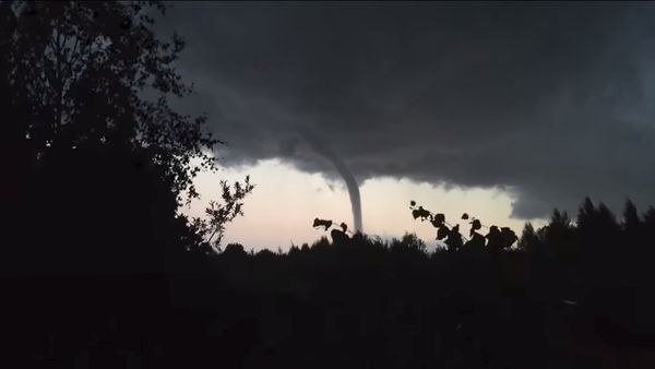 Tornado over Ladoga Lake in Russia - Sputnik International