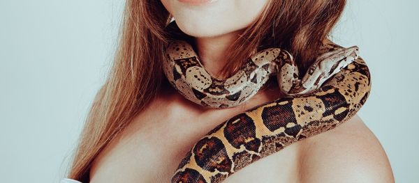 Snake Snake - Sputnik International