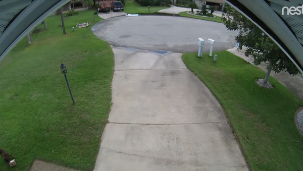 Florida Woman Catches Four-Legged Package Thief on Camera - Sputnik International