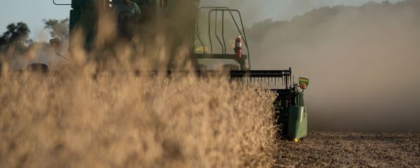 Soybean harvest Soybean harvest - Sputnik International