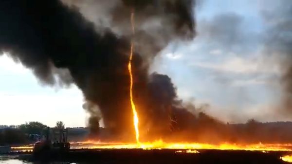 This Week in Pictures: August 4-10 This Week in Pictures: August 4-10 - Sputnik International