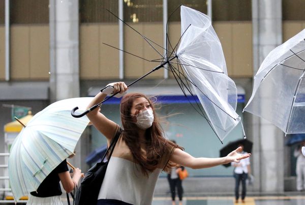 This Week in Pictures: August 4-10 This Week in Pictures: August 4-10 - Sputnik International