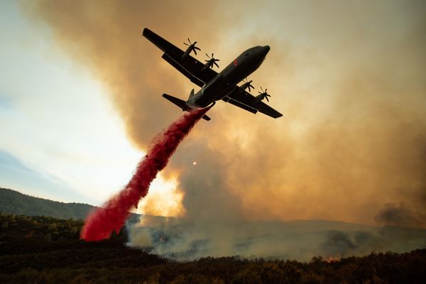 This Week in Pictures: August 4-10 This Week in Pictures: August 4-10 - Sputnik International