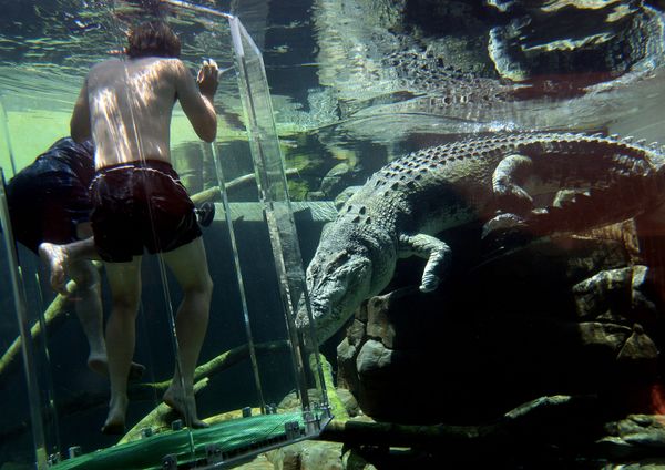 Discover New Worlds and Empires: Most Interesting Parks From Pole to Pole Discover New Worlds and Empires: Most Interesting Parks From Pole to Pole - Sputnik International
