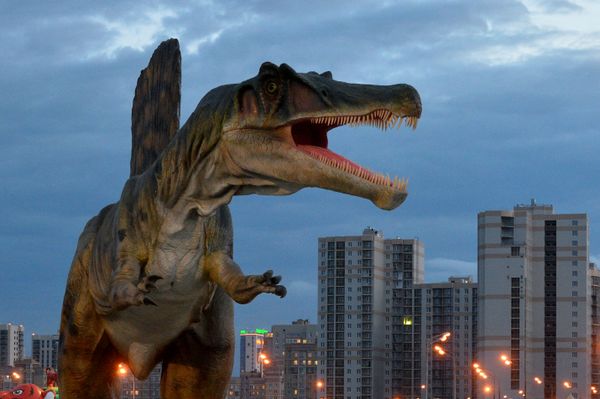 Discover New Worlds and Empires: Most Interesting Parks From Pole to Pole Discover New Worlds and Empires: Most Interesting Parks From Pole to Pole - Sputnik International