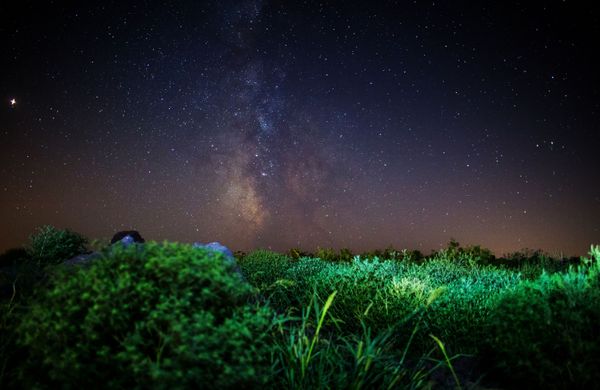 Night Sky Lit by Stunning Perseid Meteor Shower Night Sky Lit by Stunning Perseid Meteor Shower - Sputnik International