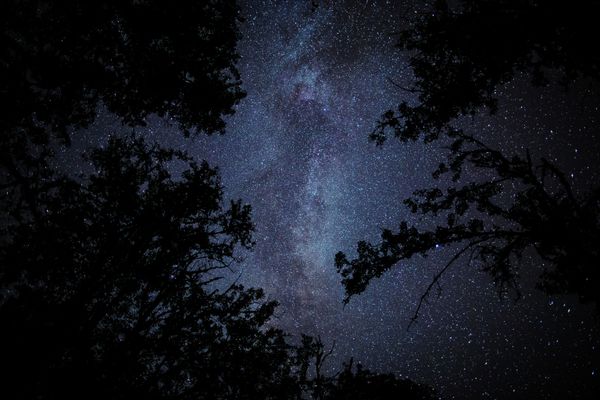 Night Sky Lit by Stunning Perseid Meteor Shower Night Sky Lit by Stunning Perseid Meteor Shower - Sputnik International
