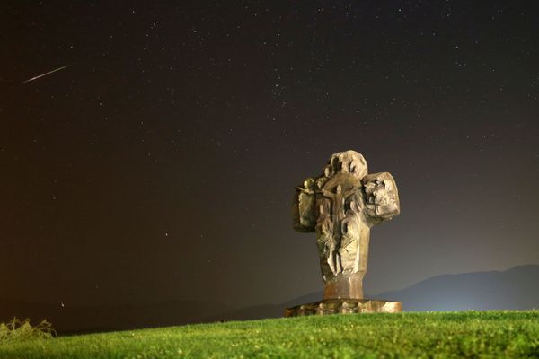 Night Sky Lit by Stunning Perseid Meteor Shower Night Sky Lit by Stunning Perseid Meteor Shower - Sputnik International