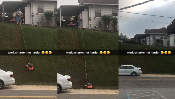 Working Smarter? US Man’s Interesting Lawn Care Hack - Sputnik International