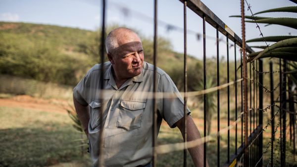 Piet Swanepoel looks through the boundary fence at his guest lodge on a farm in Limpopo province, South Africa, on October 31, 2017 Piet Swanepoel looks through the boundary fence at his guest lodge on a farm in Limpopo province, South Africa, on October 31, 2017 - Sputnik International