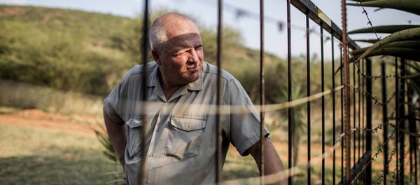 Piet Swanepoel looks through the boundary fence at his guest lodge on a farm in Limpopo province, South Africa, on October 31, 2017 Piet Swanepoel looks through the boundary fence at his guest lodge on a farm in Limpopo province, South Africa, on October 31, 2017 - Sputnik International