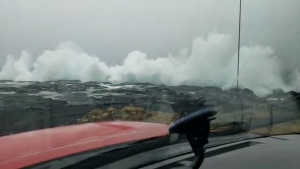 Waves crash on the coast as Hurricane Lane approaches Ka'u, Hawaii, U.S. August 22 2018, in this still image obtained from a social media video. Video taken from inside a vehicle. Courtesy of Ken Boyer Waves crash on the coast as Hurricane Lane approaches Ka'u, Hawaii, U.S. August 22 2018, in this still image obtained from a social media video. Video taken from inside a vehicle. Courtesy of Ken Boyer - Sputnik International