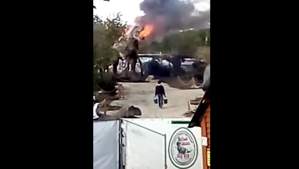 Fire in the Russian Amusement Park. 2018 - Sputnik International