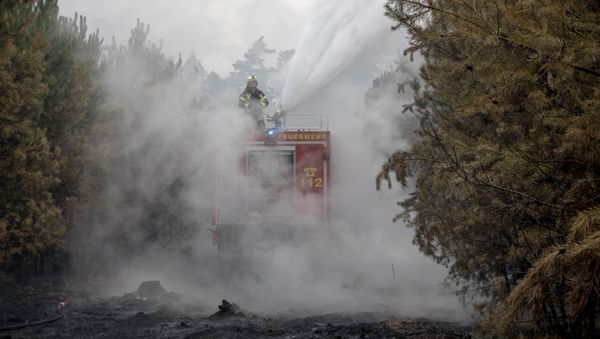 Firemen work in a burning forest on August 24, 2018 in Treuenbrietzen, northeastern Germany, as a forest fire raging 50 kilometres (30 miles) southwest of Berlin continued to spread. - Sputnik International