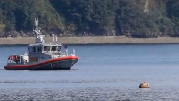 Puget Sound Mine - Sputnik International