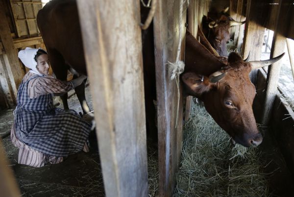 This Week in Pictures: August 25-31 This Week in Pictures: August 25-31 - Sputnik International