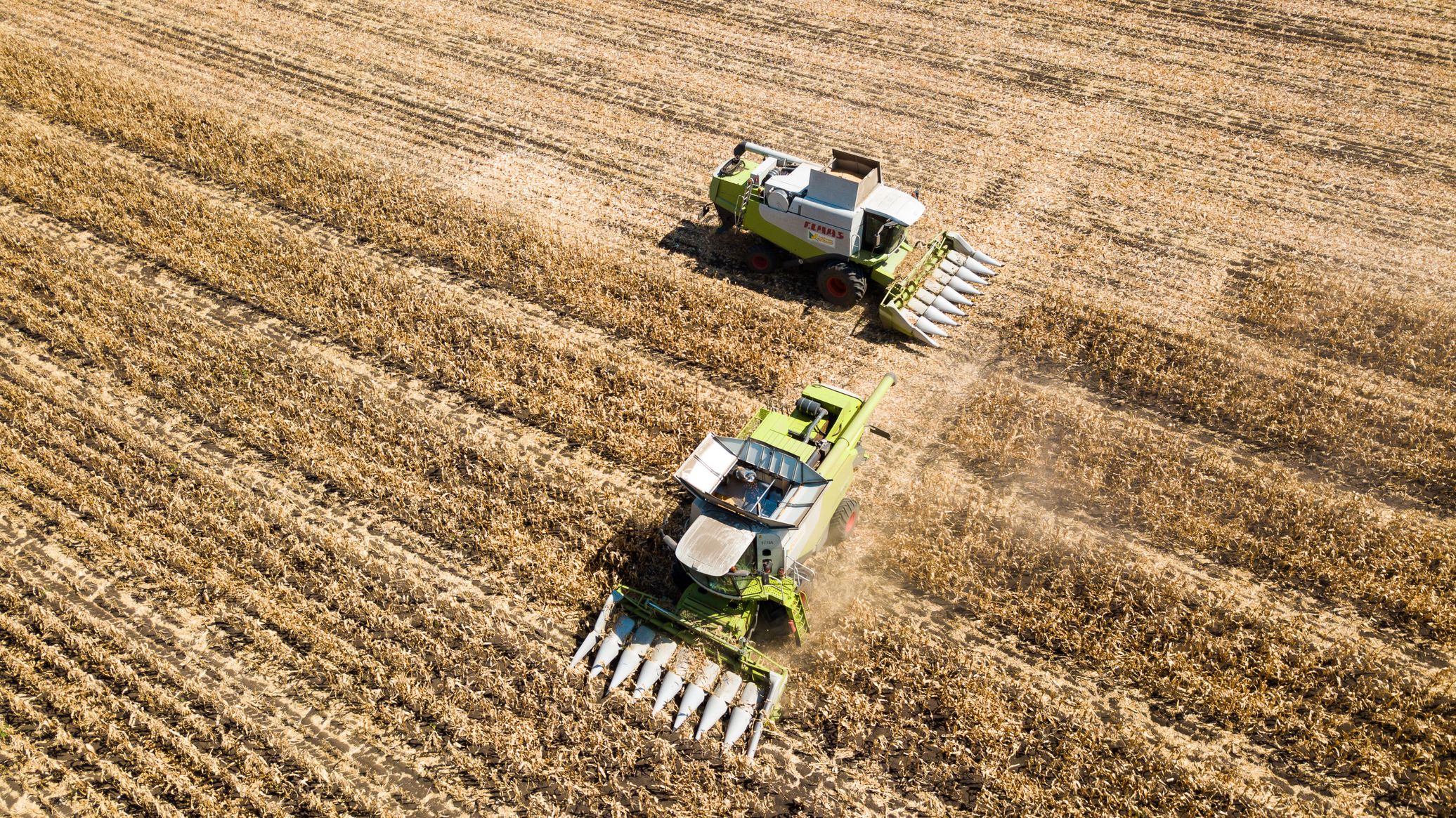 Russia Eyes Egypt as New Seed Supply Hub For Africa