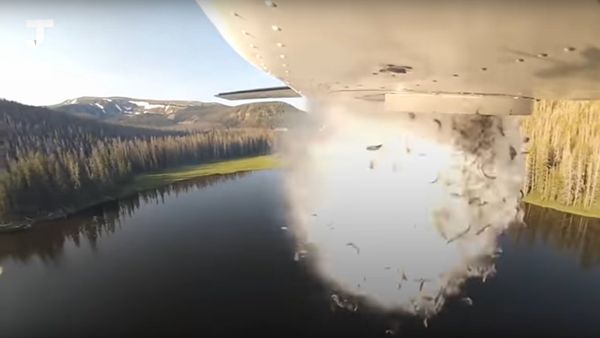 Fish dropped in the high-mountain lakes of Utah Fish dropped in the high-mountain lakes of Utah - Sputnik International